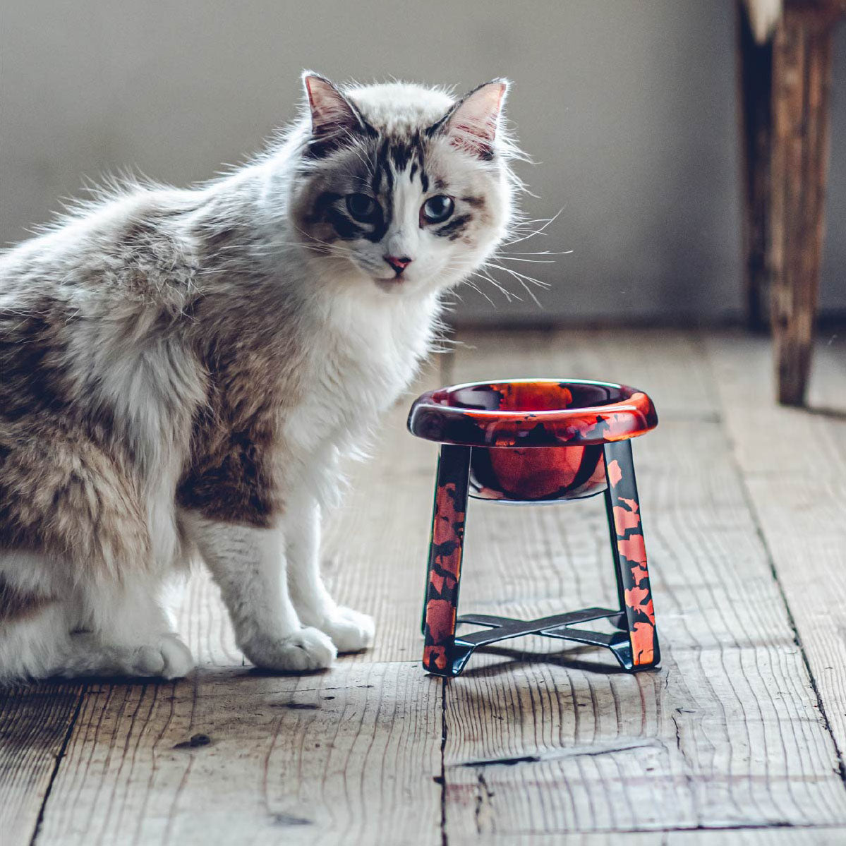 PPP “ICHIMATSU” FoodStand