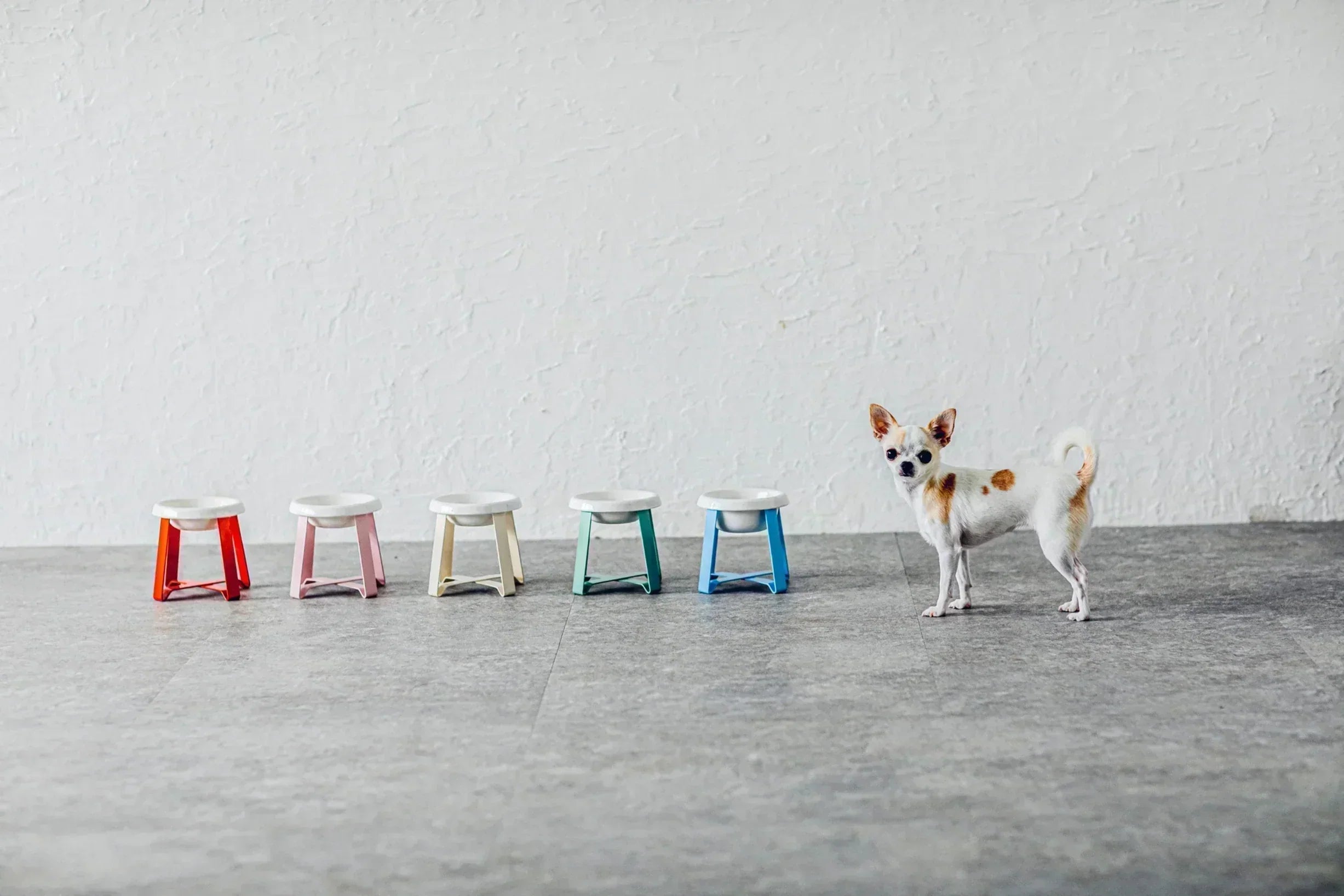 生活空間に色を取り入れる