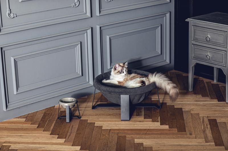 Cat Hammock