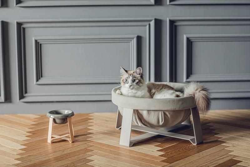 Cat Hammock