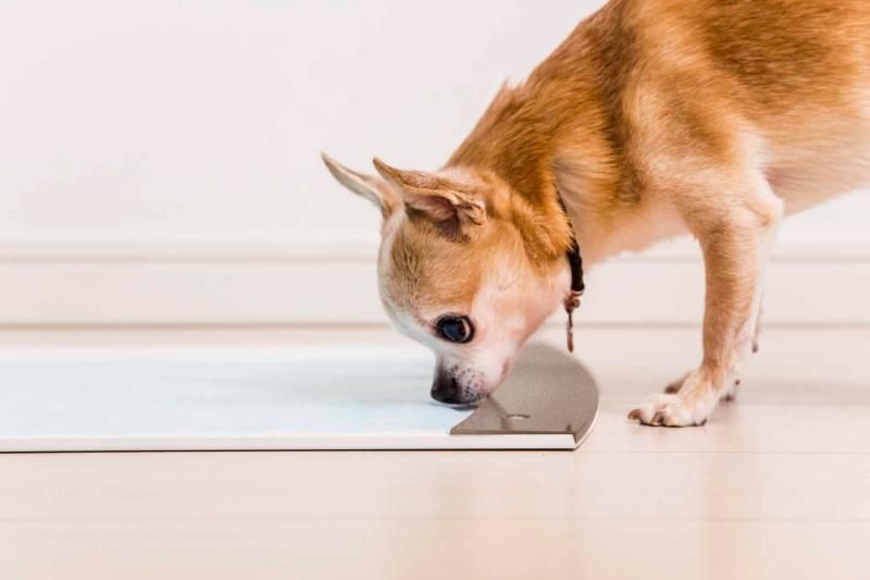 ペコロ トイレトレイ ワイド pecolo Toilet Tray Wide 犬 Toilet Tray