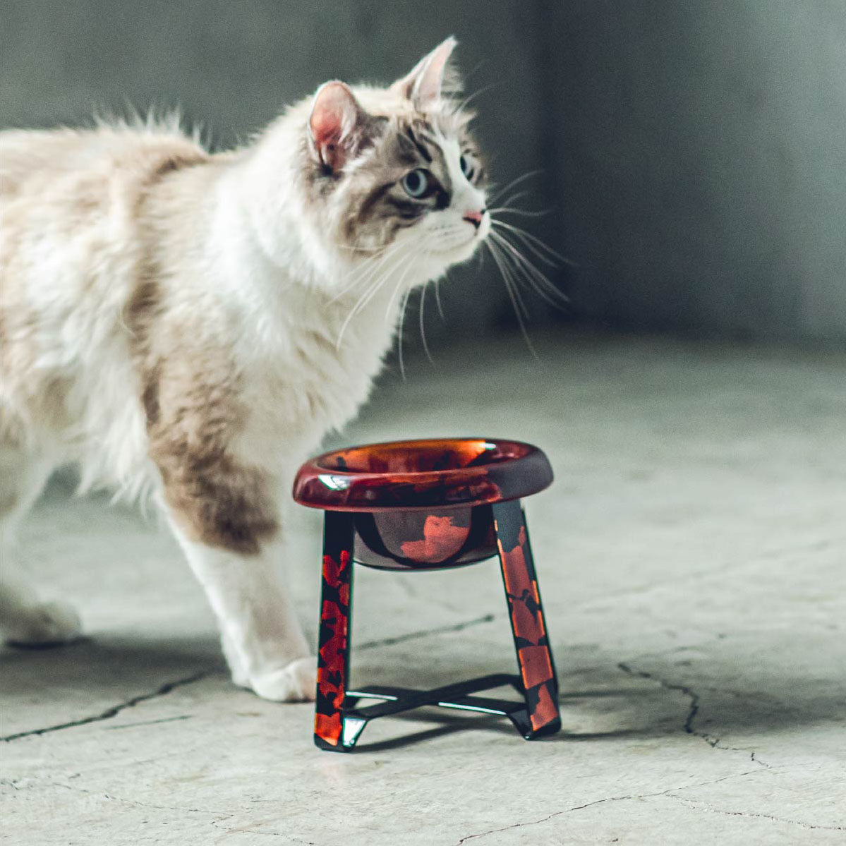 PPP “ICHIMATSU”  FoodStand